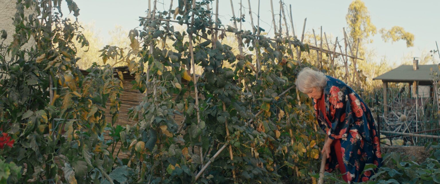 La Truffa, directed by Matteo Stipa and Michele Marchionne: Mirella in the vegetable garden, among the tomato canes